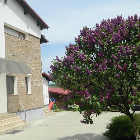 Mirana-Marginimea Sibiului Hotell Cristian  Exteriör bild