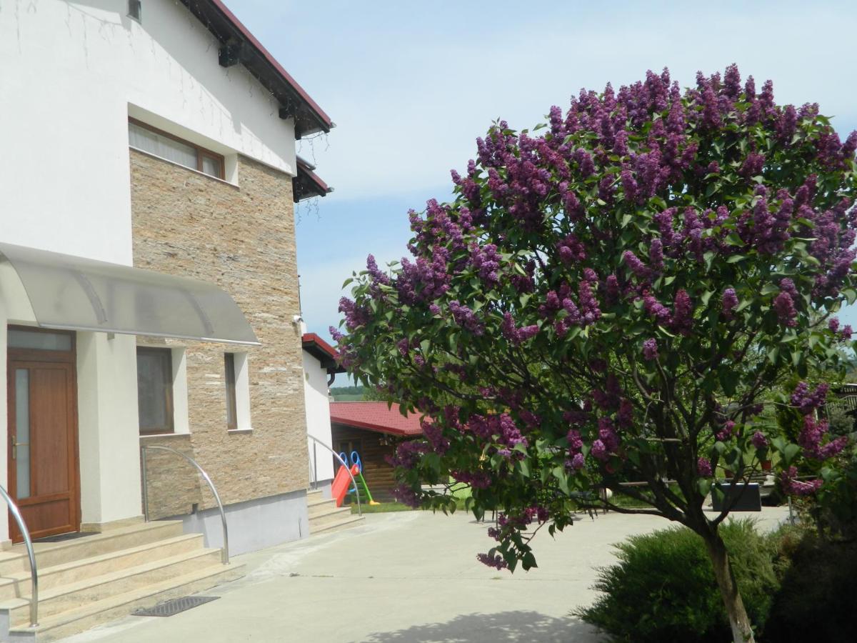 Mirana-Marginimea Sibiului Hotell Cristian  Exteriör bild